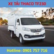 Thaco TF230 giá lăn bánh